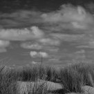 the dune