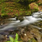 Stream