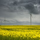 Modern Fields