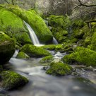 Cadagua river
