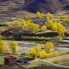Village in autumn