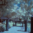 IR Tree