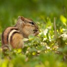 Cute little guy