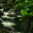 Stream