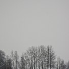 In the snow