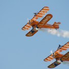 sleeping on the wings