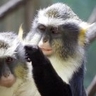 Good Grooming