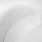 Feather