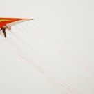 Flying High--Dan Buchanan