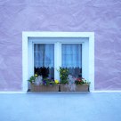 window