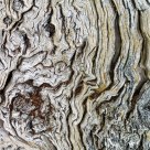 Textures