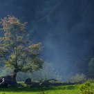 Rural Beauty