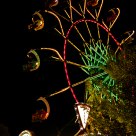 Seattle Wheel