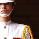 The White Guard
