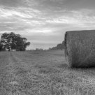Round Bales