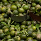 Calamansi