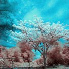 Being Different