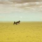 Lonely Rider