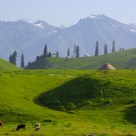 Beautiful Nalati Grassland