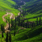 Beautiful Nalati Grassland
