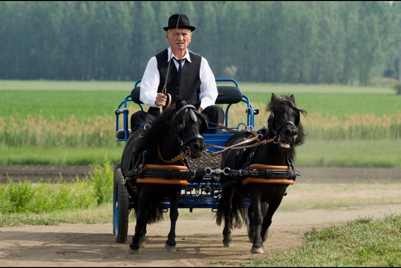Tiny carriage