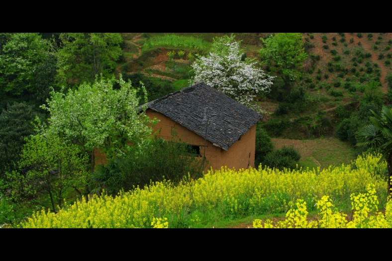 Country House