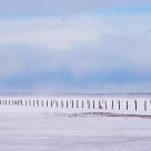 Wind over Salt Lake