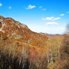 Labagoumen virgin forest park