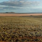 Outback