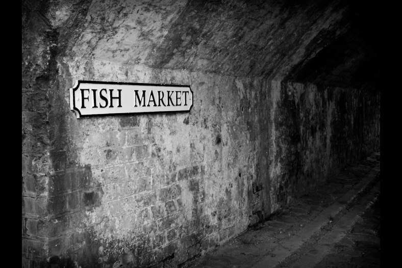 Fish Market