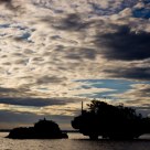 Shoe Island