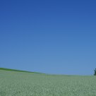a summer day