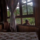 boy on the window
