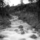 On the river