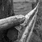 Old fence