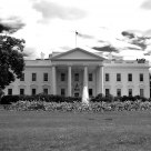 Picnic at the whitehouse 