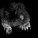 Life In The Dark