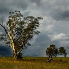 Approaching Storm