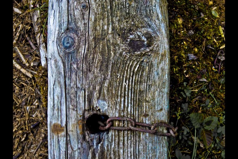From the log drivers' station