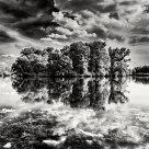 Reflection
