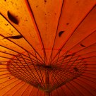 under the umbrella