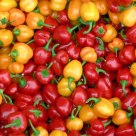 Red and Yellow