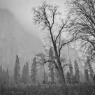 The Storm