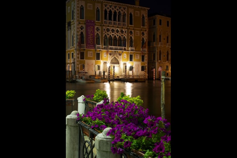 Flowers in Venice by night