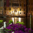 Flowers in Venice by night
