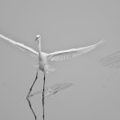Landing