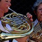 Musicians