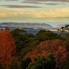 Sydney Mt Tomah