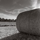Sun and Round Bale