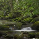 Serenity